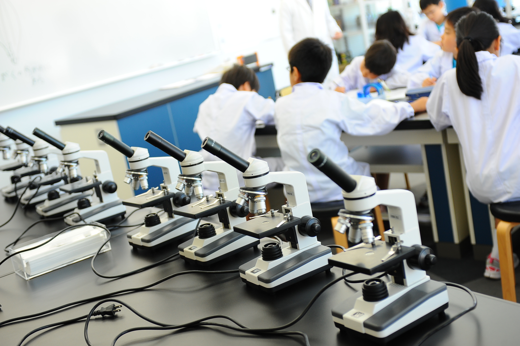 顕微鏡の各部の名称 アルファ実験教室
